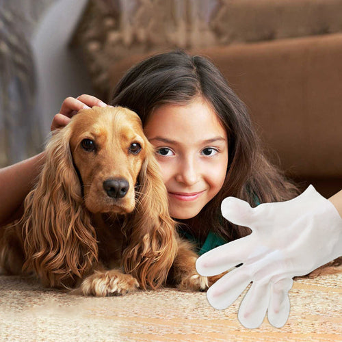 Gants pour animaux de compagnie sans lavage